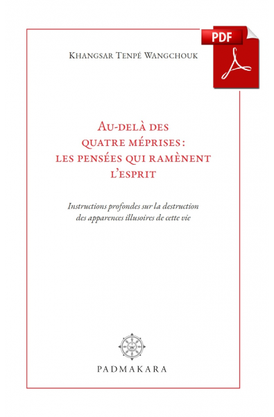 Les Instructions cruciales_Ebook_PDF